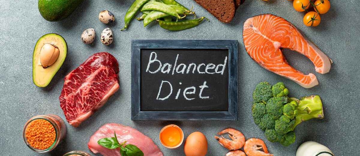 Cibo Diet- The Power of a Balanced Diet