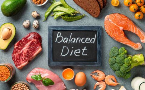 Cibo Diet- The Power of a Balanced Diet
